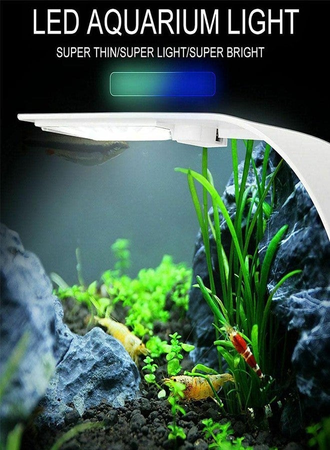 VAYINATO PetzLifeworld Coco Ultra Slim Thin WRGB White Clip On Light 12 W Suitable for 30-40 cm Tank (M-20) - Image 5